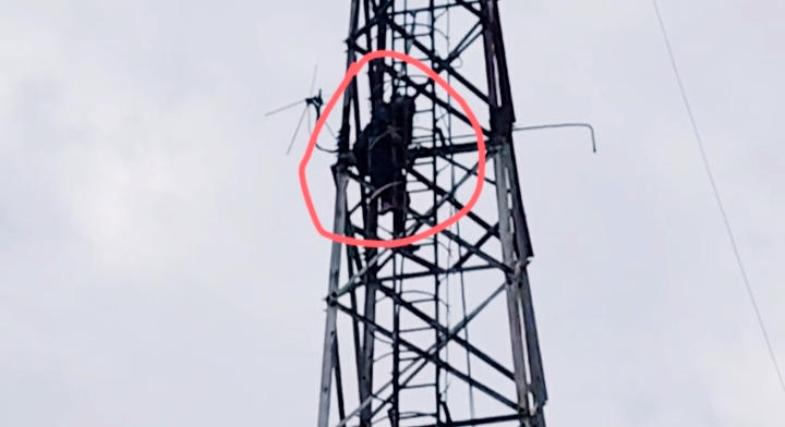 थाना परिसर में वायरलेस टॉवर पर चढ़कर युवती ने लगाई फांसी, मोबाइल पर आत्महत्या का वीडियो देखते हुए की खुदकुशी