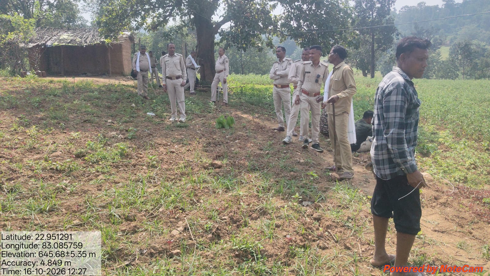 जंगल में अवैध अतिक्रमण को लेकर वन विभाग की कार्रवाई, अवैध कब्जे से हटाई गई फसल